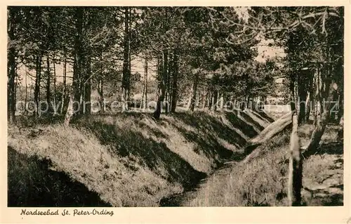 AK / Ansichtskarte St_Peter Ording Graben St_Peter Ording