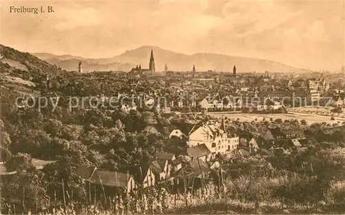 AK / Ansichtskarte Freiburg_Breisgau Panorama Freiburg Breisgau