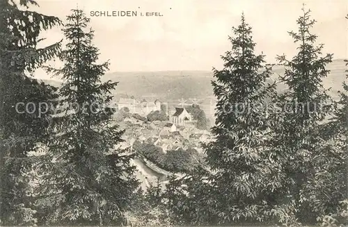 AK / Ansichtskarte Schleiden_Eifel Panorama Schleiden_Eifel