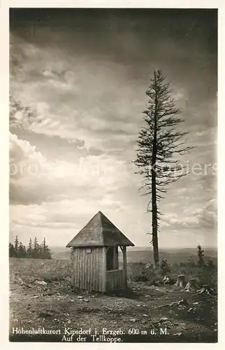 AK / Ansichtskarte Kipsdorf Tellkoppe Kipsdorf