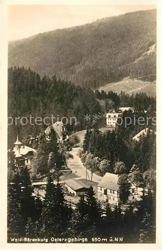 AK / Ansichtskarte Baerenburg_Sachsen Panorama Baerenburg Sachsen