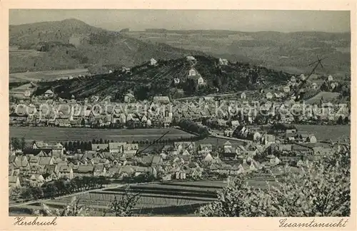 AK / Ansichtskarte Hersbruck Panorama Hersbruck