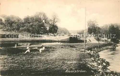 AK / Ansichtskarte Akerstroem Ortsmotiv 