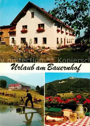 AK / Ansichtskarte Scheibbs Urlaub am Bauernhof Fam. Gansch Scheibbs