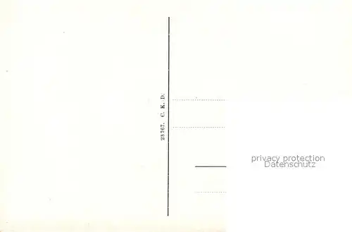 AK / Ansichtskarte Bingen_Rhein Burg Klopp Bingen Rhein