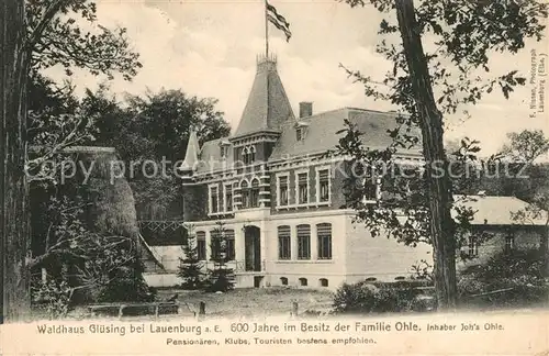 AK / Ansichtskarte Lauenburg_Elbe Waldhaus Gluesing Lauenburg Elbe