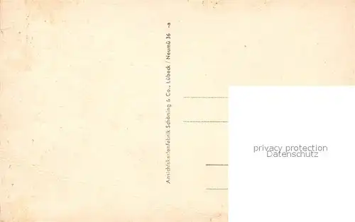 AK / Ansichtskarte Neumuenster_Schleswig Holstein Strassenpartie Neumuenster