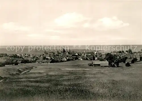 AK / Ansichtskarte Tolkemit_Tolmicko Gesamtansicht Landschaftspanorama Tolkemit Tolmicko