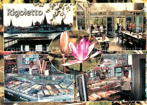 AK / Ansichtskarte Heviz Caffe Rigoletto Eis Salon Eiscafe Blumen Heviz
