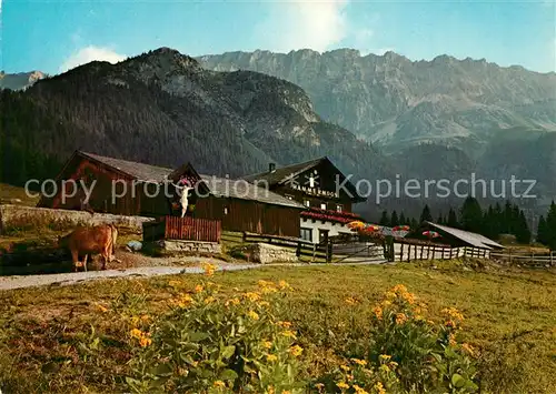 AK / Ansichtskarte Leutasch Haemmermoosalm Leutascher Gaistal gegen Teufelsgrat Wettersteingebirge Leutasch