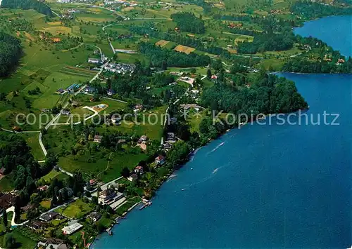 AK / Ansichtskarte Kastanienbaum Fliegeraufnahme Kastanienbaum