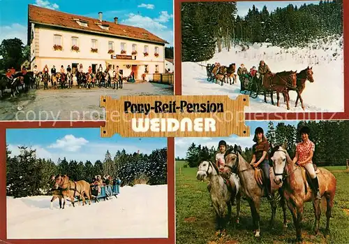 AK / Ansichtskarte Marktleugast Steinbach Pony Reif Pension Weider Pferdeschlitten Marktleugast