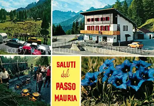 AK / Ansichtskarte Passo_Maurio Gebirgspass Dolomiten Berghotel Alpenflora Blauer Enzian Passo Maurio