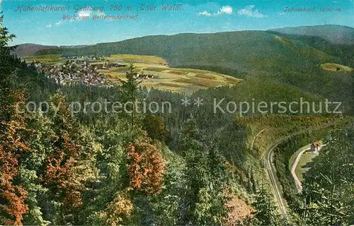 AK / Ansichtskarte Gehlberg Panorama Schneekopf Gehlberg