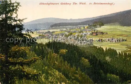 AK / Ansichtskarte Gehlberg Panorama Kuenstlerkarte Gehlberg