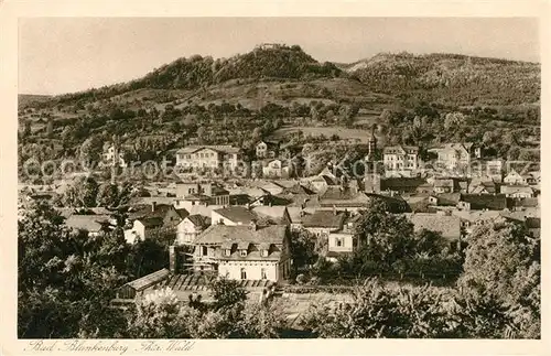 AK / Ansichtskarte Blankenburg_Bad Panorama Ruine Greifenstein Blankenburg_Bad