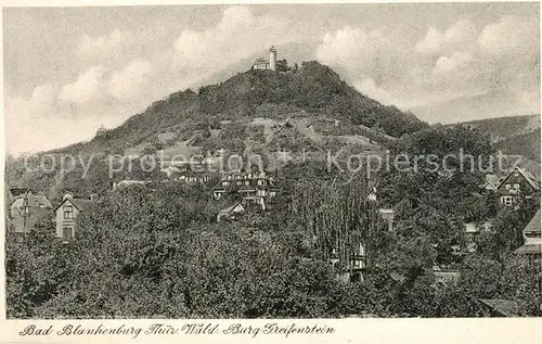 AK / Ansichtskarte Blankenburg_Bad Burg Greifenstein Blankenburg_Bad