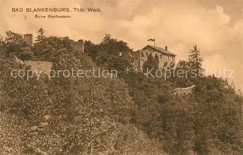 AK / Ansichtskarte Blankenburg_Bad Ruine Greifenstein Blankenburg_Bad