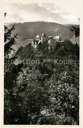 AK / Ansichtskarte Leutenberg_Thueringen Friedensburg Leutenberg Thueringen