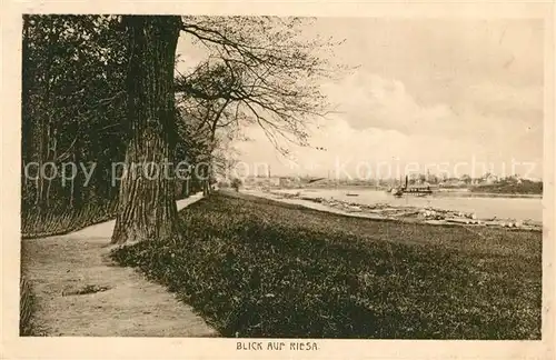 AK / Ansichtskarte Riesa_Sachsen Panorama Elbe Riesa Sachsen