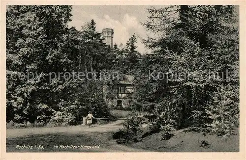 AK / Ansichtskarte Rochlitz_Sachsen Rochlitzer Bergwald Rochlitz Sachsen