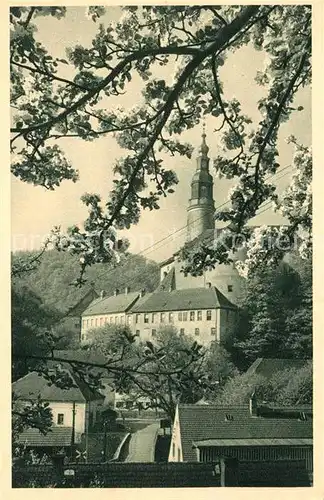 AK / Ansichtskarte Weesenstein Schloss Baumbluete Weesenstein