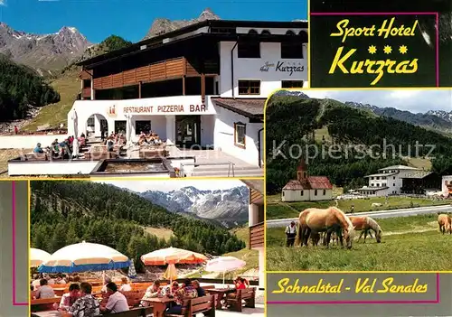 AK / Ansichtskarte Kurzras_Schnals Sporthotel Schnalstal Haflinger Pferde Kurzras Schnals