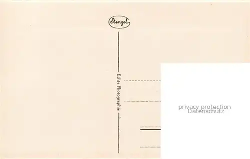 AK / Ansichtskarte Ruedesheim_Rhein Panorama Bruecke Ruedesheim Rhein