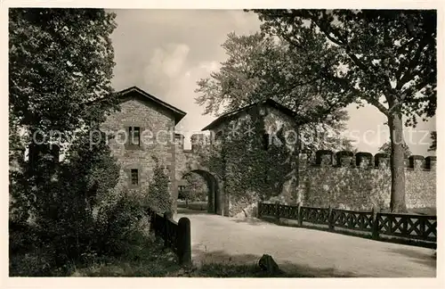 AK / Ansichtskarte Saalburg_Taunus Roemerkastell  Saalburg Taunus