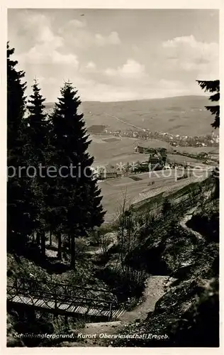 AK / Ansichtskarte Oberwiesenthal_Erzgebirge Schoenjungferngrund  Oberwiesenthal Erzgebirge
