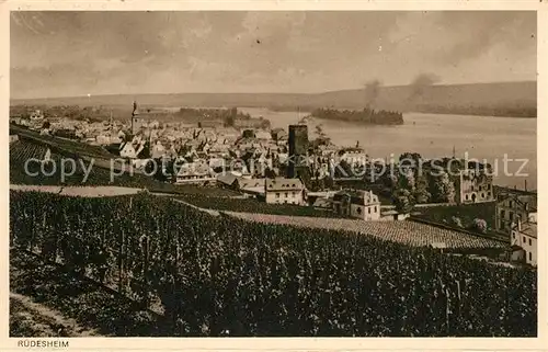 AK / Ansichtskarte Ruedesheim_Rhein Panorama Ruedesheim Rhein