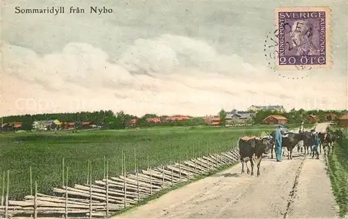 AK / Ansichtskarte Nyborg Sommaridyll Nyborg