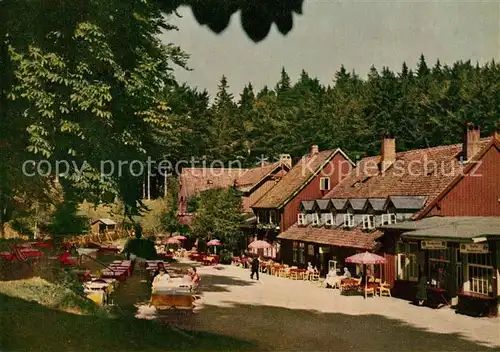 AK / Ansichtskarte Bad_Harzburg Harzhotel Molkenhaus Bad_Harzburg