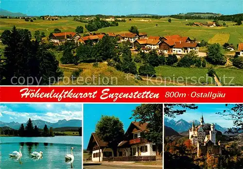 AK / Ansichtskarte Enzenstetten Panorama Schwaene Schloss Neuschwanstein Alpenblick Enzenstetten