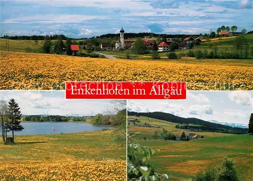 AK / Ansichtskarte Enkenhofen Blick ueber die Felder Landschaftspanorama See Enkenhofen