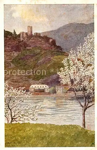 AK / Ansichtskarte Spitz_Donau Ruine Hinterhaus Kuenstler Rudolf Schmidt Spitz Donau