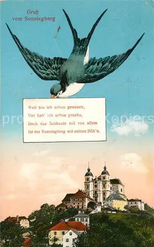 AK / Ansichtskarte Sonntagberg Kloster Brieftaube Sonntagberg