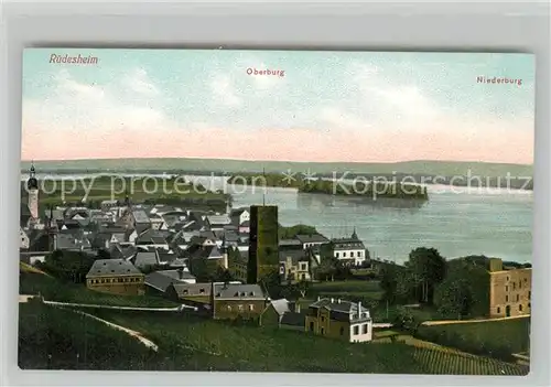 AK / Ansichtskarte Ruedesheim_Rhein Oberburg Niederburg  Ruedesheim Rhein