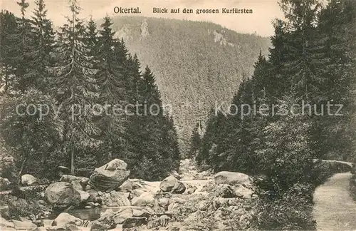 AK / Ansichtskarte Okertal mit Grossem Kurfuersten Okertal