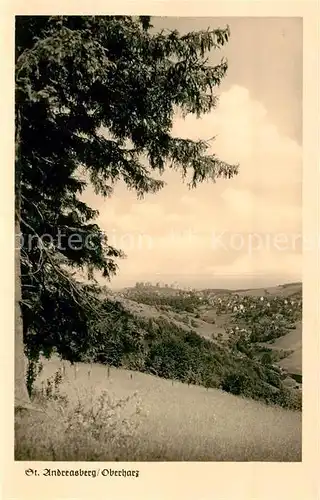 AK / Ansichtskarte St_Andreasberg_Harz Panorama St_Andreasberg_Harz