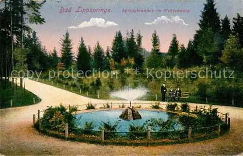 AK / Ansichtskarte Bad_Lippspringe Springbrunnen im Fichtenwald Bad_Lippspringe