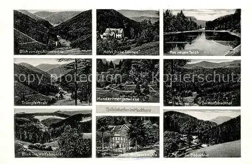 AK / Ansichtskarte Harz_Region Nonnenbank Hotel Dicke Tannen Neuer Teich Truemplersruh Hundertmorgenwiese Wolfsbachtal Hotel Wolfsbachmuehle Eisbachtal Harz Region