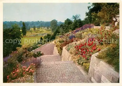 AK / Ansichtskarte Bundesgartenschau Kassel Rosenhang  Bundesgartenschau