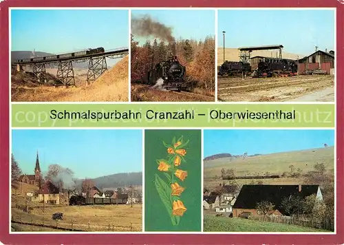 AK / Ansichtskarte Eisenbahn Schmalspurbahn Cranzahl Oberwiesenthal  Eisenbahn