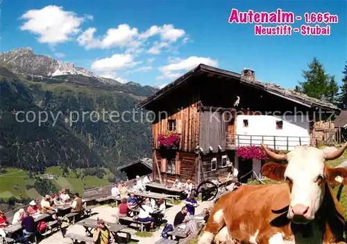 AK / Ansichtskarte Neustift_Stubaital_Tirol Autenalm Neustift_Stubaital_Tirol