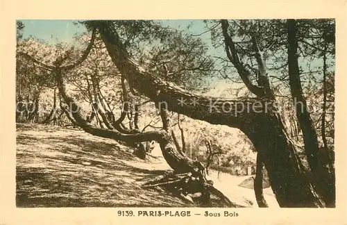 AK / Ansichtskarte Paris Plage Sous Bois Paris Plage