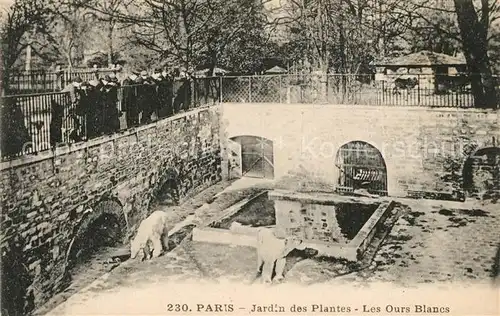 AK / Ansichtskarte Paris Jardin des Plantes Les Ours Blancs Paris