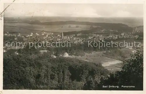 AK / Ansichtskarte Bad_Driburg Panorama Bad_Driburg