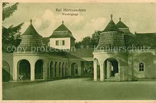 AK / Ansichtskarte Bad_Hermannsborn Wandelgaenge Bad_Hermannsborn