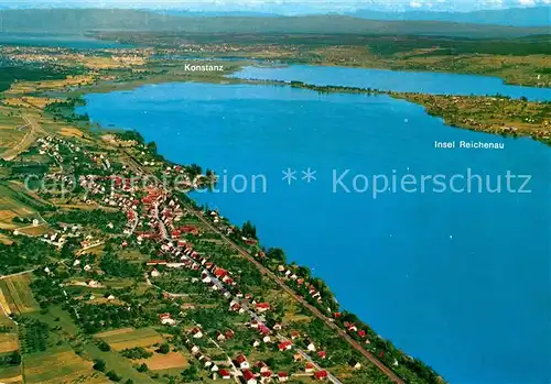 AK / Ansichtskarte Allensbach_Bodensee Untersee Insel Reichenau Konstanz Fliegeraufnahme Allensbach_Bodensee